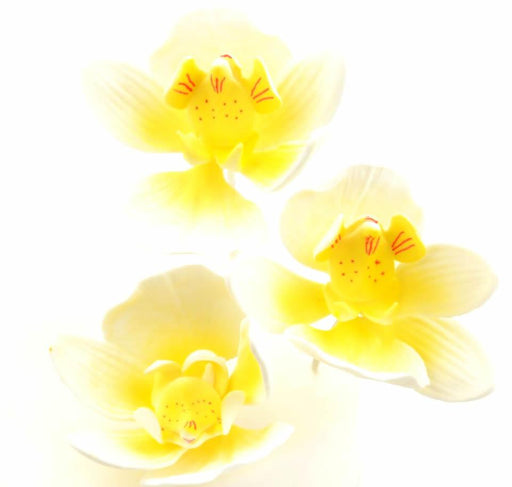 Feinzucker Blüten Moth Orchid, 3er - Tortendekoshop