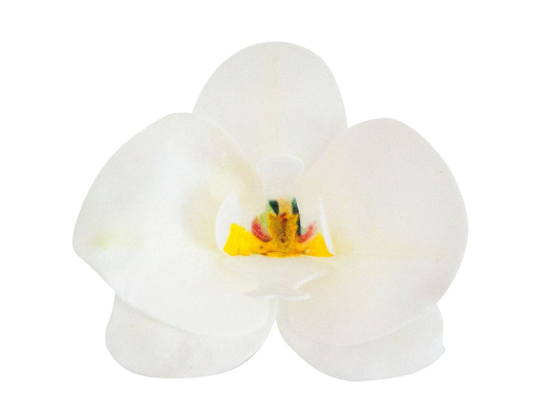 Waferpapier Orchidee wit 7,5-8,5cm 10 stuks