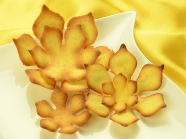 Hippenschablonen Magnolie, 5-teilig