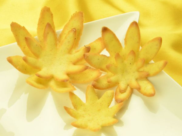 Hippenschablonen Seerose, 5-teilig