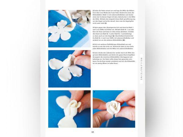 Lindys Minicakes - Lindy Smith - Tortendekoshop