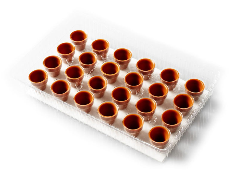Pralinen-Schalen Blumentopf, 24 Stück