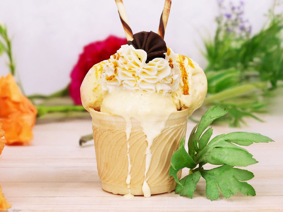 PreGel Eispaste Bourbon Vanille, 6kg