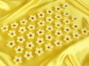 1 Folie Schokoladen Blüten Weiß - Tortendekoshop