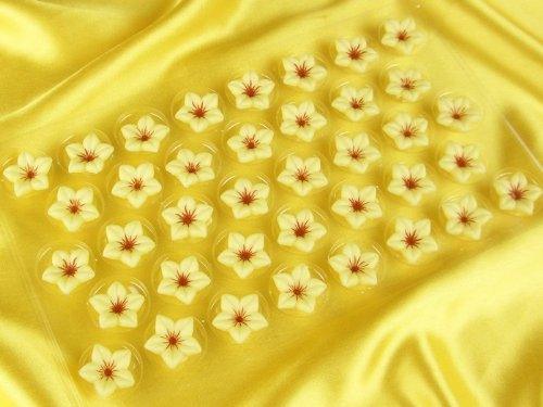 1 Folie Schokoladen Blüten Weiß - Tortendekoshop