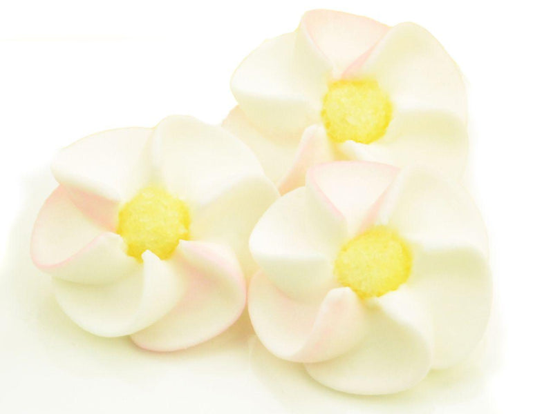 Apfelblüten weiß, rosa Zucker 9 Stück - Tortendekoshop