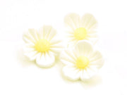 Blumen 25mm weiß Zucker, 16 Stück - Tortendekoshop
