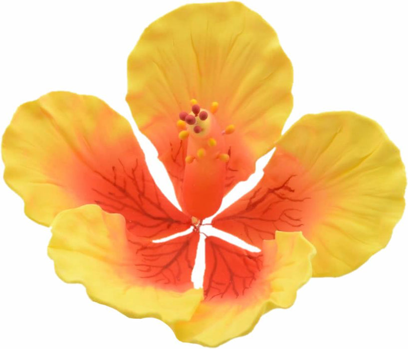 Feinzucker Blüte Hibiscus Giant - Tortendekoshop
