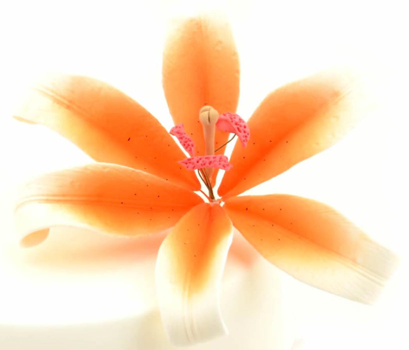 Feinzucker Blüte Lily white orange spray - Tortendekoshop