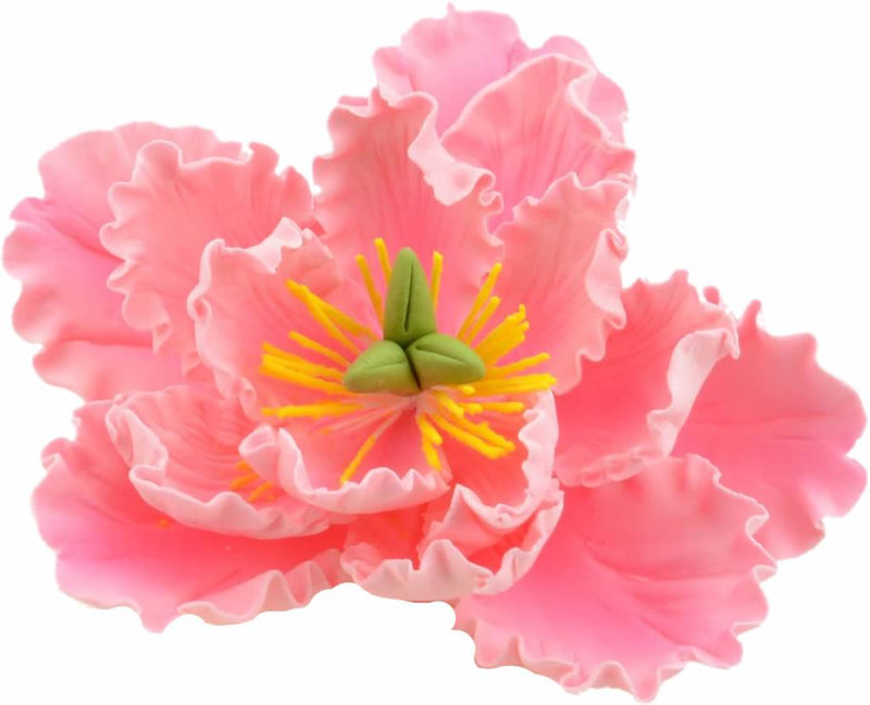 Feinzucker Blüte Peony pink - Tortendekoshop