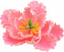 Feinzucker Blüte Peony pink - Tortendekoshop