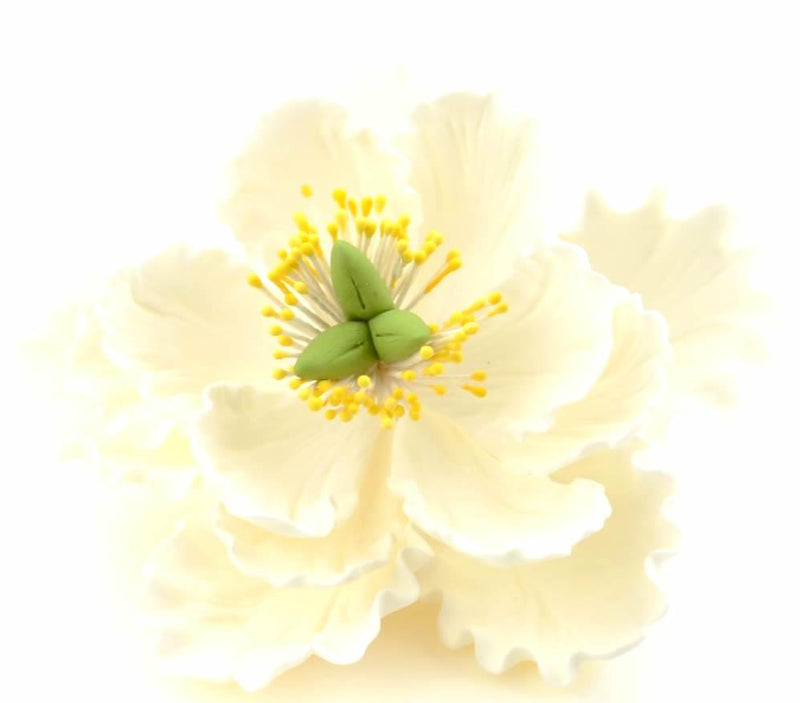Feinzucker Blüte Peony white - Tortendekoshop