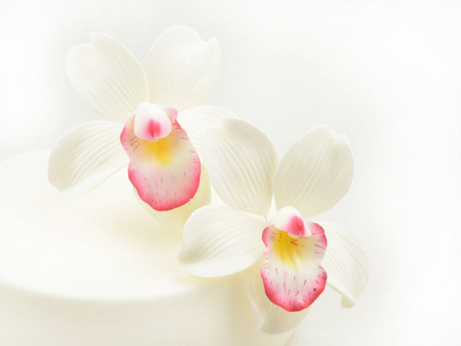 Feinzucker Blüten Cymbidium Orchid, 2er - Tortendekoshop