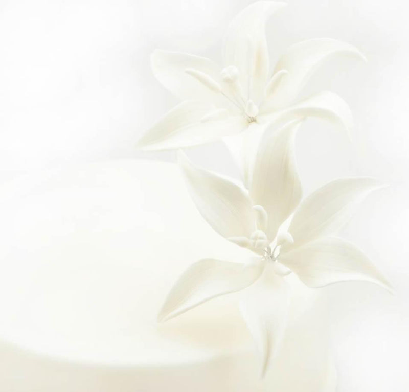 Feinzucker Blüten Tiger Lily White 2er - Tortendekoshop