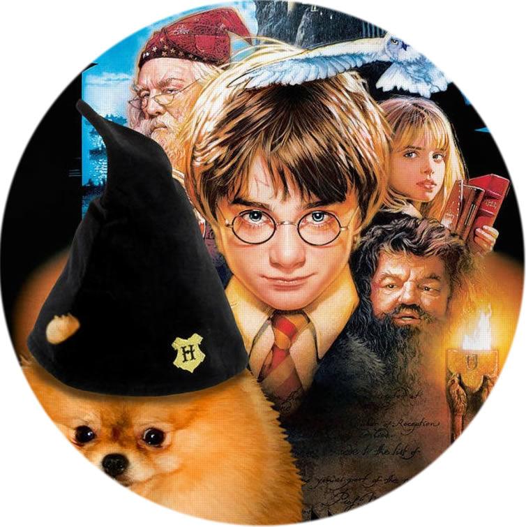 Harry Potter Tortenaufleger, Rund - Tortendekoshop