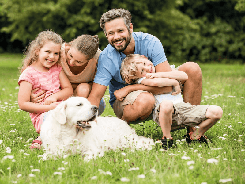Individuell Bild als Tortenaufleger, Rechteckig - Tortendekoshop
