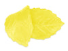 Lebensmittelfarbe Spray gelb, 100ml - Tortendekoshop