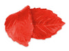 Lebensmittelfarbe Spray rot, 100ml - Tortendekoshop