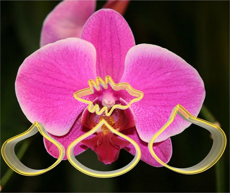 Orchidee Blumen Ausstecher Set - Tortendekoshop