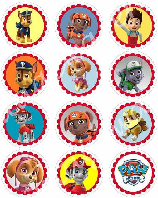 Paw Patrol Cupcake, Muffinaufleger - Tortendekoshop
