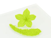 Rainbow Dust Puderfarbe Citrus Green, Grün, 4g - Tortendekoshop
