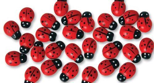 Rot Deko Marienkäfer - Tortendekoshop