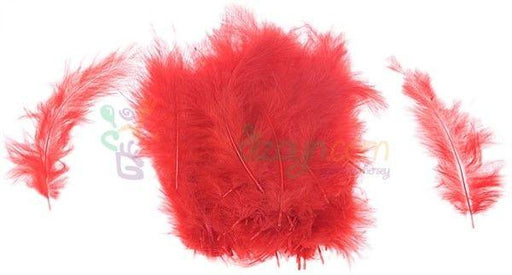 Rot Feder für Besondere Dekoration - Tortendekoshop