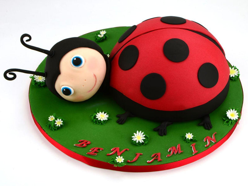 Silikomart Silikonform Torte Halbkugel, 18cm - Tortendekoshop