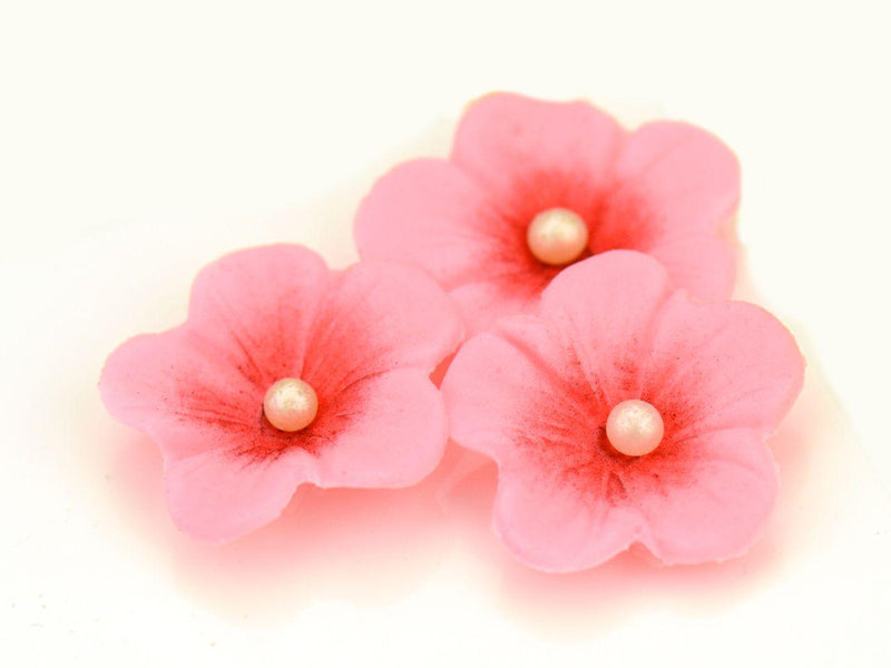 Silikonstempel mit Ausstecher Kirschblüte - Tortendekoshop