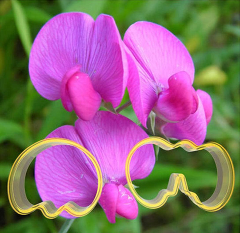 Süßen Erbsenblüten Ausstecher Set - Tortendekoshop