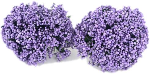 Violet Farbige Mini Knospe - Tortendekoshop