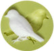 Vogel Silikonform - Tortendekoshop